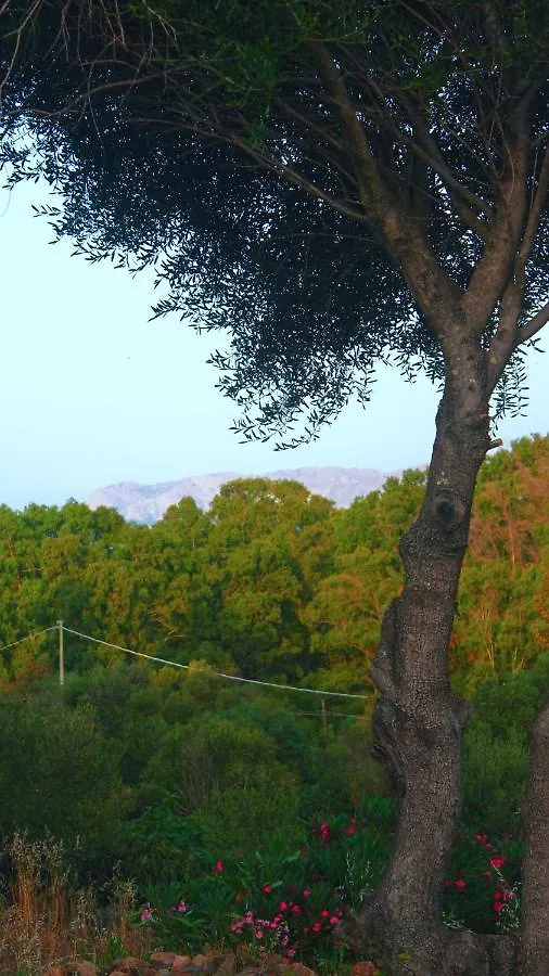 Sole Matto Rooms Olbia 0*,