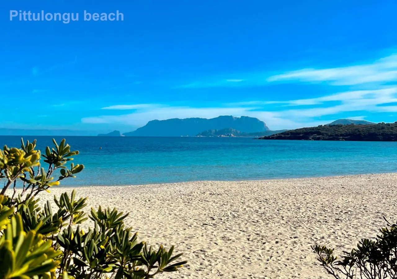 Bed & Breakfast Sole Matto Rooms Olbia